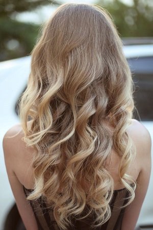 Healthy hair. Curly long hairstyle. Back view of Blond hairs. hair styling.